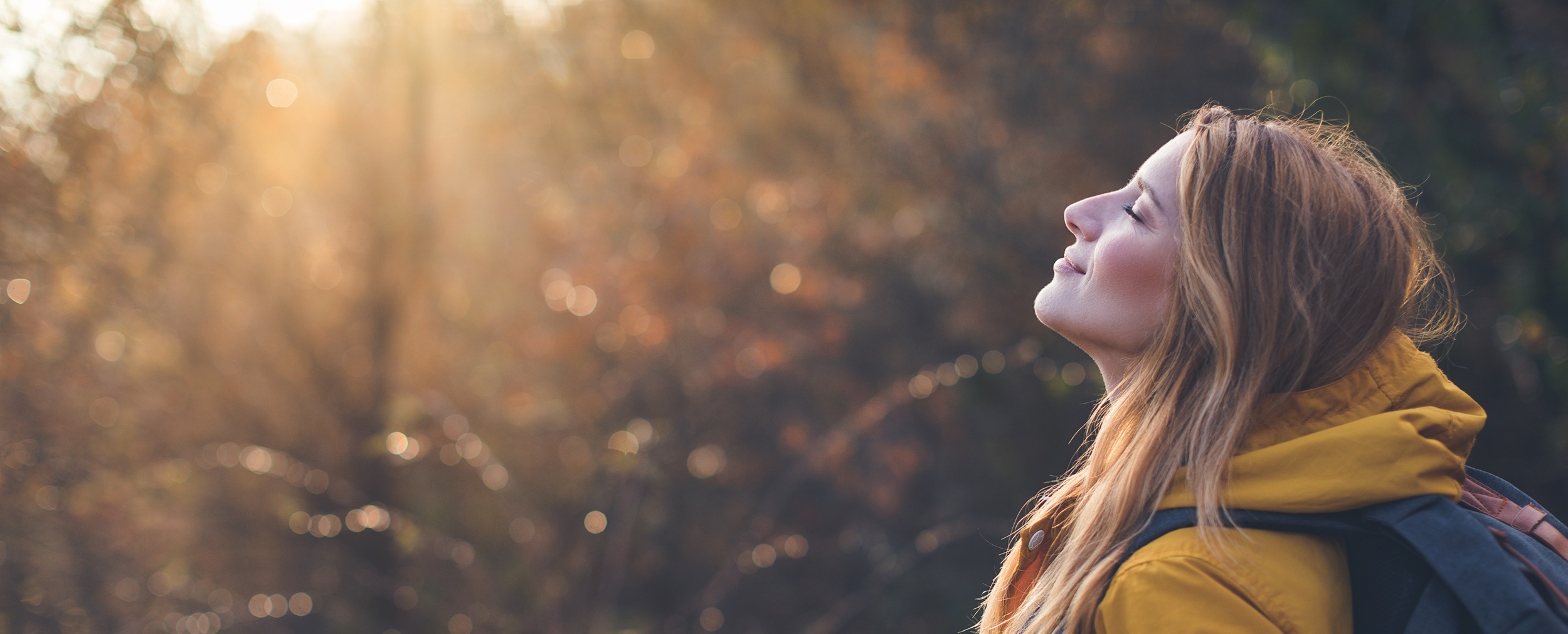 ClearHaven Privacy Summary